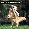 Interactive Plush Dog Toys