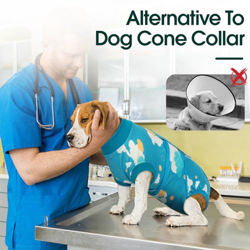 Image of Kuoser Recovery Suit for Dogs After Surgery,Printed Dog Surgery Suit Female Male Spay Neuter,Anti-Licking Dog Onesie for Abdominal Wounds Skin Disease,Pet Surgical Recovery Bodysuit Cone Alternative,S