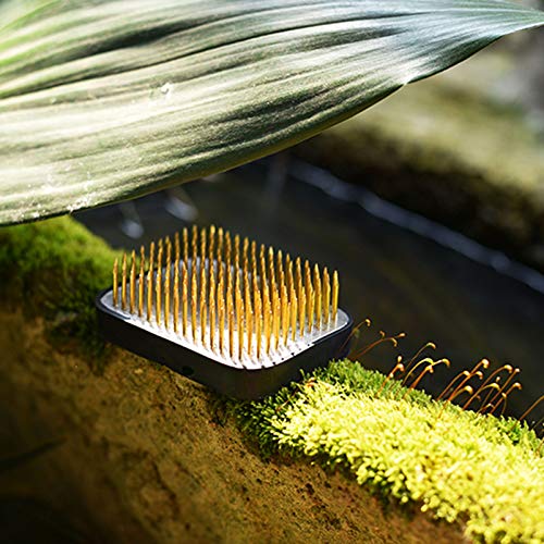 Amosfun Flor Sapo Suporte Redondo Pino de Arranjo Floral Porta Agulha JaponÃªs Ikebana Kenzan para H