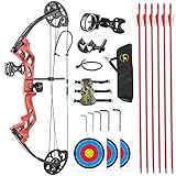 NC DJH Archery Compound Bow Package and Arrows for Kids Beginners 17'-27' Draw Length，10-30 Lbs...