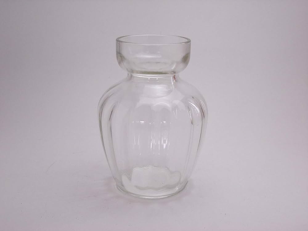 Amazon | フロンティアガラス ヒヤシンスガラスポット 1球用 | 球根