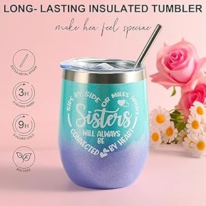 Sister gifts sisters birthday gift ideas from sister sisters birthday gifts box from brother best sister ever gifts unique tumbler christmas gifts for sister best friend bff bestie  urban country home decor
