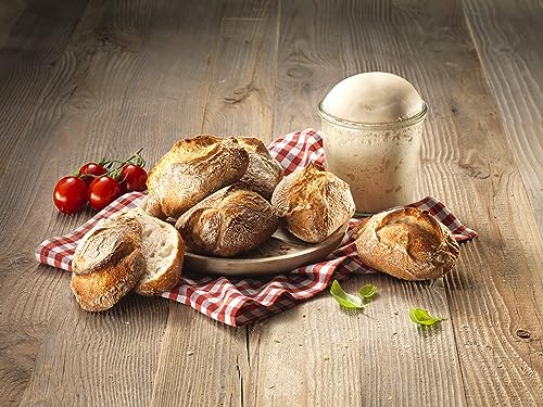 Lievito Madre Getrocknet Weizensauerteig Pulver Mit Starker Triebkraft 500g von Foozia