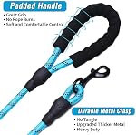 Reflective Dog Leash with Padded Handle, Heavy Duty Lead for Large, Medium, and Small Dogs, 1.5cm x 2m (Black)