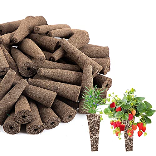 Ecoogrower Grow Sponges for Use with AeroGarden, Plant Growing Plugs Sponges for Hydroponic Plants Growth, Pack of 50