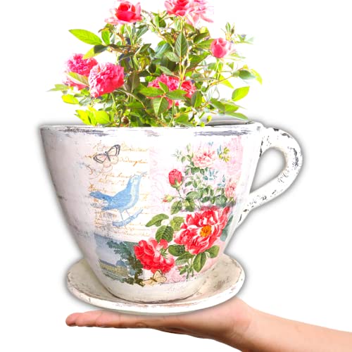 Macetas, Home Imagen adicional