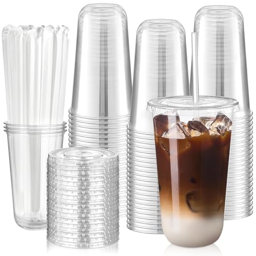 Qeirudu 100 Pack 18 oz Round Bottom Clear Plastic Cups with Lids and Straws Disposable Iced Coffee Cups To Go Cups for Cold Drinks Smoothie Juice Milkshake