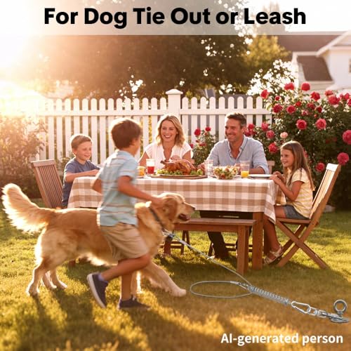 Image of Dog Tie Out Spring, Heavy Duty Shock Absorber Spring for Tie Out Cable & Chain, Rustproof Stainless Steel Buffer, Dog Leash Shock Absorber (1 Spring)