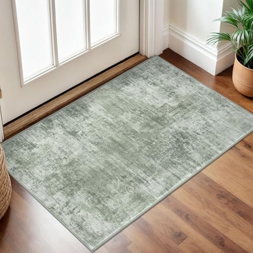 IOHOUZE Small Abstract Area Rug 2x3 Ft Entryway Rugs Washable