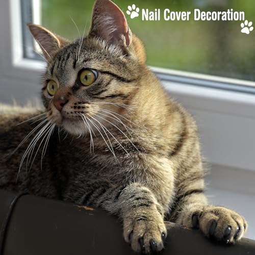 Image of 10 Pcs Cat Bathing Bag Set Pet Mesh Shower Bag Anti Bite and Scratch Pet Grooming for Washing Brush, Cat Muzzle, Nail Clipper, Nail File, Tick Tool(Gray and Black)
