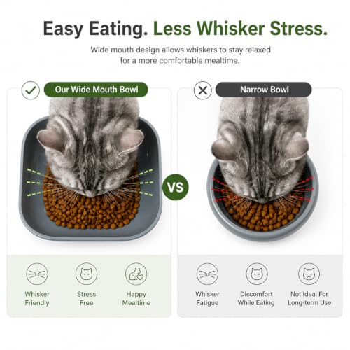 Image of Kipenzi Elevated Pet Bowl for Cats & Small Dogs | Food Grade Feeding Bowl | Raised Ergonomic Design | Stable & Easy to Clean | Modern Food & Water Bowl | Grey (Pack of 2)