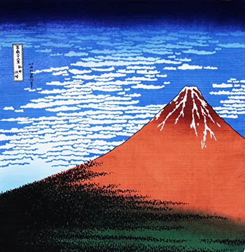 ۑS C~ ȕC~ k ԕxm 50×50cm { ȒPɕ߂ ٓ yĕ֗ Y RpNgi