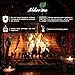 Alderline Premium Kiln-Dried Birch Hardwood Logs 20kg - Ready to Burn firewood - Smokeless fire logs for wood burners, Stoves, Fire Pits