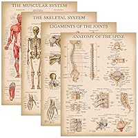 Palace Learning Science Education Chart/Poster