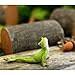 Top Collection Miniature Fairy Garden and Terrarium Yoga Frog Bhujangasana Cobra Pose Statue