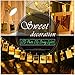 LED Photo Clip String Lights 20 Photo Clips Battery Powered Fairy Twinkle Lights, Wedding Party Home Dorm Bedroom Christmas Decor Lights for Hanging Photos, Cards and Artwork (10.5 Feet, Warm White) LED Photo Clip String Lights 20 Photo Clips Battery Powered Fairy Twinkle Lights, Wedding Party Home Dorm Bedroom Christmas Decor Lights for Hanging Photos, Cards and Artwork (10.5 Feet, Warm White)