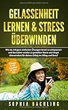  GELASSENHEIT LERNEN & STRESS ÜBERWINDEN:: Wie du mit ganz einfachen Übungen lernst zu entspannen und das Leben wieder zu genießen Stress und Angst überwindest für deinen Erfolg im Alltag und Beruf