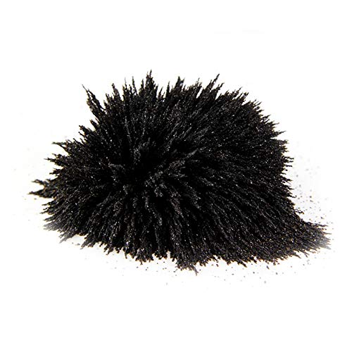 DAILYLIFE Bulk Iron Filings - 1 LB Iron Powder with 4 Magnets for Science Experiments, Magnet Education and School Projects