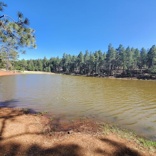 Mountain Lake Prompt - AllPoetry.com Podcast Por  arte de portada