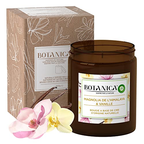 Airwick Vela aromática grande Botanica, de origen natural,...