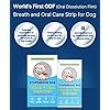 Stupendous-Dog-Breath-Freshener-Supplement-Canine-Dental-Formula-for-Clean-Teeth-Fresh-Breath-Healthy-Mouth-Dog-Bad-Breath-Treatment-Brushless-Dental-Care-Toothpaste-for-Dogs-30-Strips Stupendous Dog Breath Freshener Supplement - Dental Formula for Clean Teeth & Fresh Breath - 30 Strips