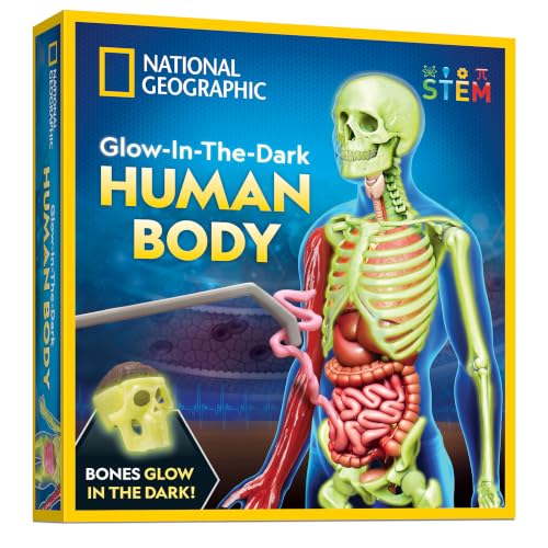 National Geographic Human Body Model for Kids 32-Piece Anatomy Set