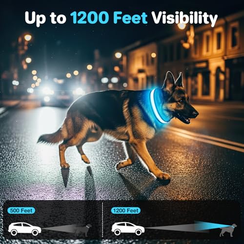 Collier LED pour chien rechargeable bleu taille M réglable doux