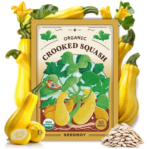 Seedboy Organic Summer Squash Seeds for Planting Indoor and Outdoor, Non-GMO and USDA Certified Vegetable Seed Packet for Hydroponic Garden Indoor or Planting Outdoors (Crookneck Squash)