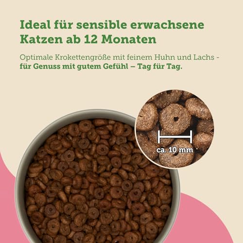 MERA Cats Nature Sensitive Lachs Katzenfutter Trocken 400g | Mono-Protein, getreidefrei & zuckerfrei | Katzen Trockenfutter hoher Fleischanteil & leicht verdaulich