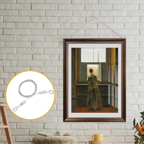Image of Litoexpe 2 Pcs Picture Hanging Wire, Adjustable Stainless Steel Wire Rope with D Ring for Picture, Mirror, Light Lamp, Basket Flowerpot, 25kg Load Capacity