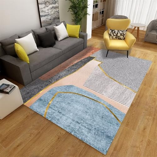 Tapis lavable confortable pour grand salon contre les taches