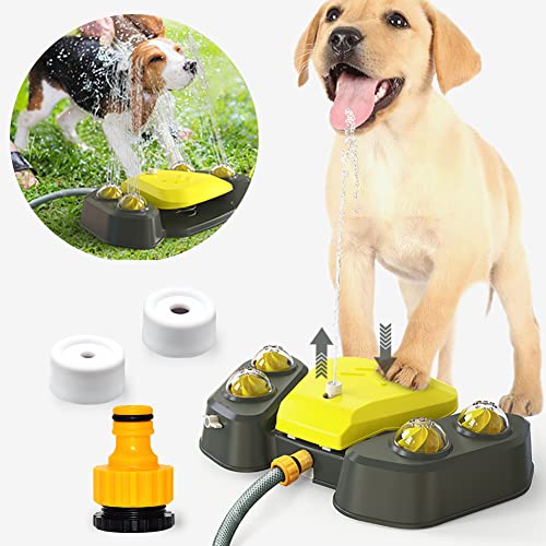 Top 13 Best Sprinkler For Dogs Reviews BNB