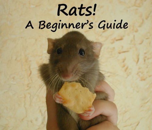 Rats! A Beginner’s Guide