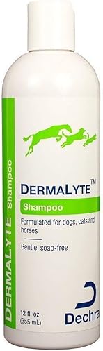 Dechra DermaLyte Champú para gatos y perros 12 oz