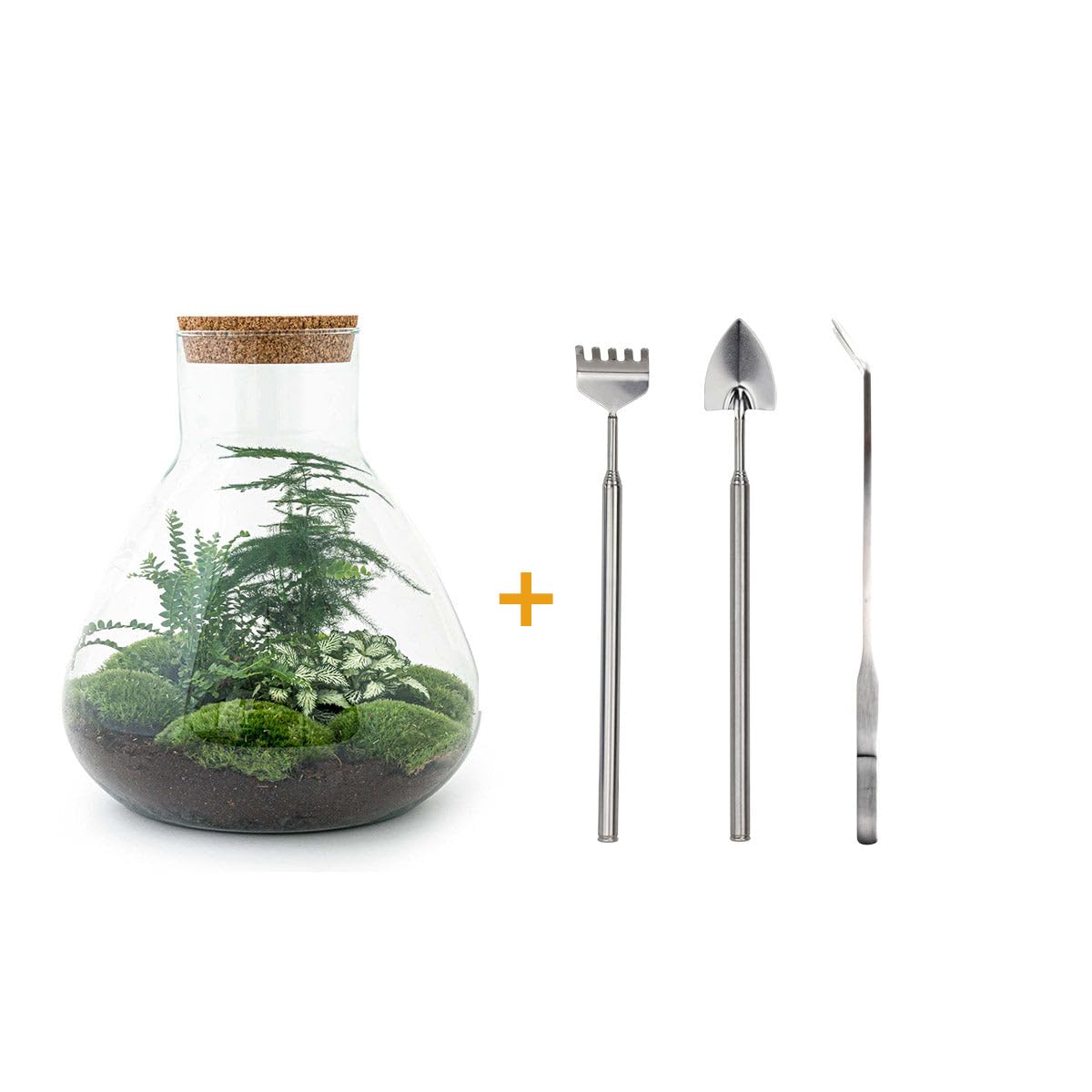 urbanjngl. com - Terrarium DIY Kit - Sam XL - Bottle Garden - 35 cm + RS Amazon No - zestaw "zrób to sam" - roślina w słoiku - kompletny zestaw do terrarium nr