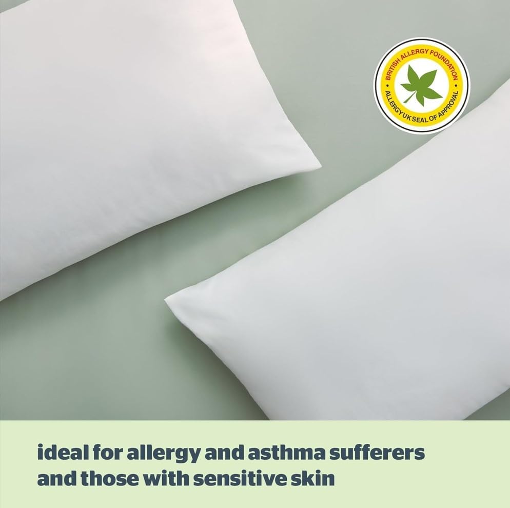 FFDDY Silentnight Anti-Allergy Pillow, White by Silentnight