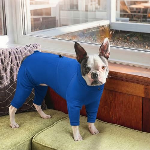 Image of Recovery Suit for Large Dogs, Adjustable Dog Onesie, Blue, XL