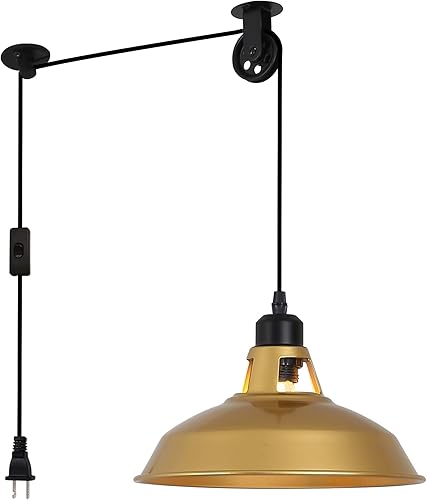 SUNLLOK Lámpara colgante de jaula rústica industrial, polea de tubo de elevación, lámpara colgante retro ajustable con interruptor - Candelabro de