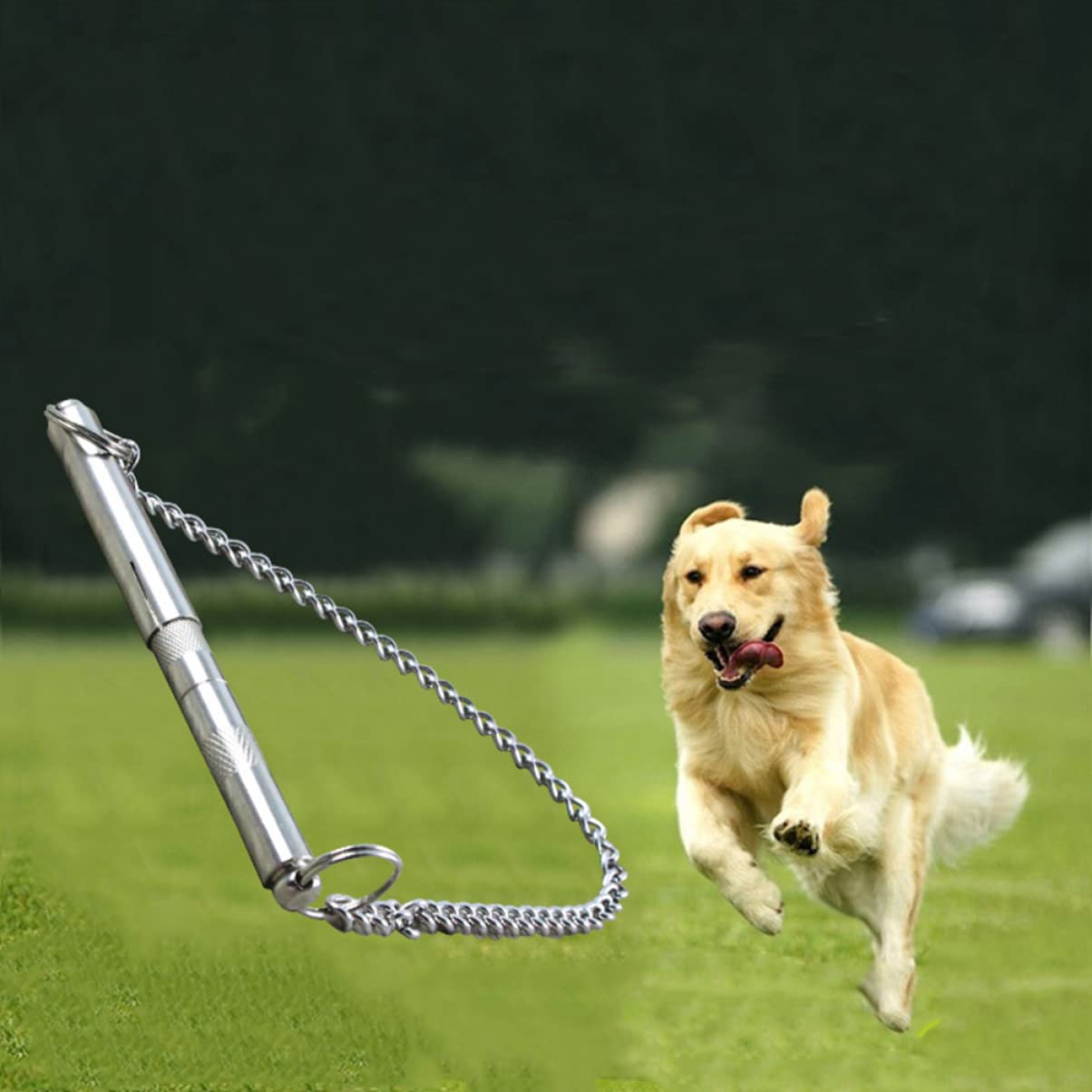 Didiseaon Pcs Dog Correcting Whistle Dog Training Whistle Sound for Obedience Stainless Steel Frequency Rod Adjustment