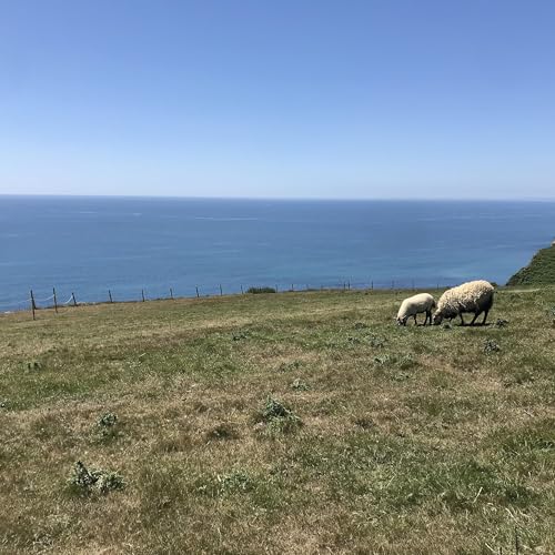 Your salvation cover art