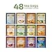 Twinings 48 Tea Bags Herbal Variety Pack – 12 Herbal Flavors, Caffeine-Free, Individually Wrapped, Perfect Tea for Any Occasion