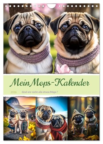 Mein Mops-Kalender (Wandkalender 2026 DIN A4 hoch), CALVENDO Monatskalender: Der Mops ist eine kleine bis mittlere Hunderasse mit einem runden Kopf, ... Fell und kurzer Nase. (CALVENDO Tiere)