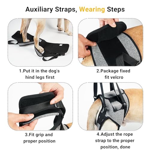 Tragehilfe Hund Groß, Tragehilfe Hund Hinterbein s, Dog Back Leg Support, Dog Carrying Aid, Verstellbares Hundegeschirr für Hinterbein, für Ältere, Behinderte Und Behinderte Hunde. (S)
