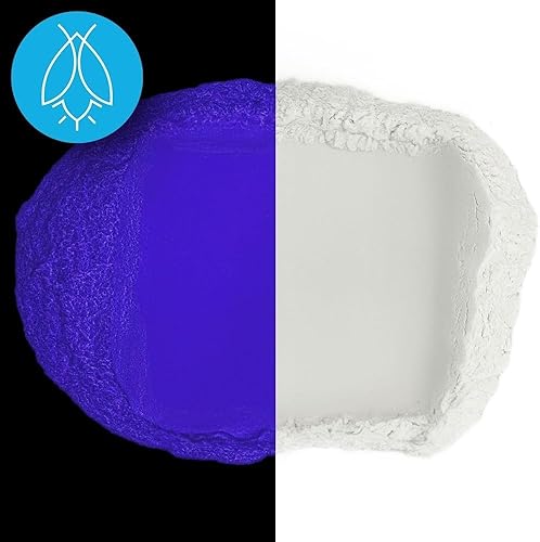 Vista 16 de Glow in The Dark Pigment Powder - Neutral and Fluorescent Color for Art Painting, Fine Art, Nail Art Paint, and DIY Crafts - Long Lasting 10+