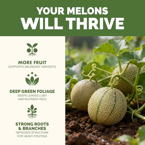Fertilizante Líquido para Melones 1 Galón miniatura 2