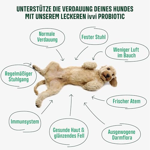 ivvi PROBIOTIC Hunde Probiotika als Leckerli - Hund Darmflora aufbauen, verbesserte Verdauung & Immunsystem - 60 leckere Snacks (270g) mit Erdnussbutter
