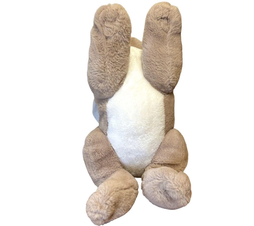 Amazon.co.jp: フレミッシュジャイアント ラビット うさぎ ウサギ