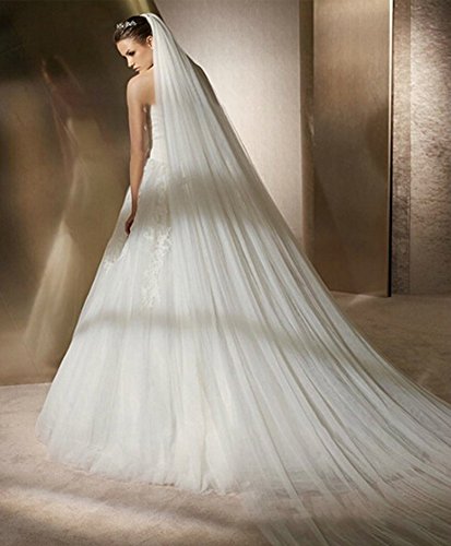 HKSCKJ Voile de Mariée Cathédrale 2 Couches en Tulle Souple Blanc avec Peigne - Longue Queue pour Photographie, Bal, Fête - Longeur 3M