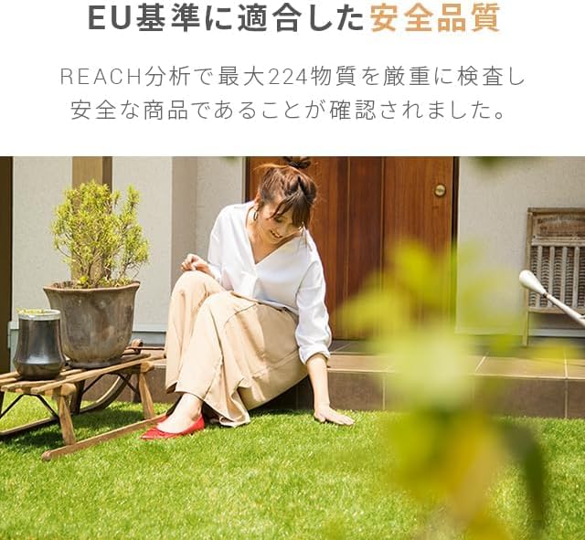 LIG】中国 清朝期 山水冊 画帳 二冊 二十四図 唐木 紫檀表紙 乾隆帝在