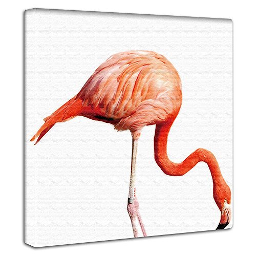 フラミンゴ 動物 アートパネル 30cm × 30cm 日本製 ポスター おしゃれ インテリア 模様替え リビング 内装 ポップ ピンク シンプル ファブリックパネル pho-0037